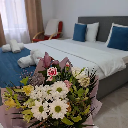 Old Town On Eugeniu De Savoya Street Appartamento *