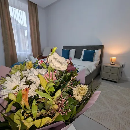 Old Town On Eugeniu De Savoya Street Apartment Timişoara