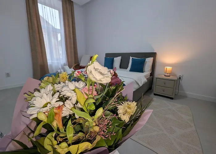 Old Town On Eugeniu De Savoya Street דירה טימישוארה