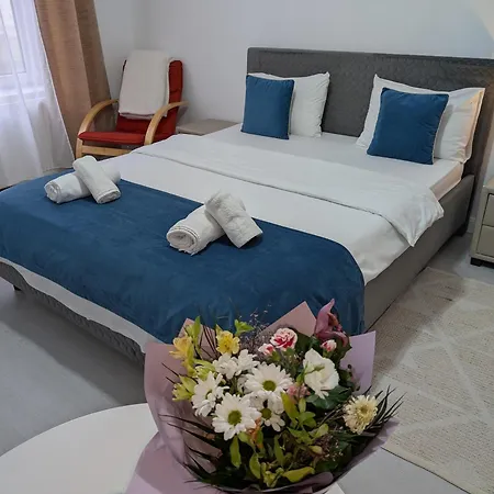 Apartamento Old Town On Eugeniu De Savoya Street Timisoara