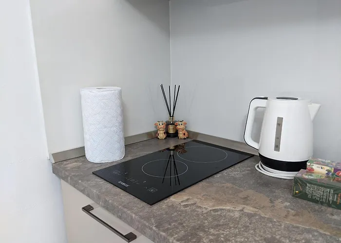 Old Town On Eugeniu De Savoya Street Apartamento Timisoara